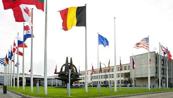Casi la mitad de los moldavos está en contra de entrar en la OTAN - Sputnik Mundo