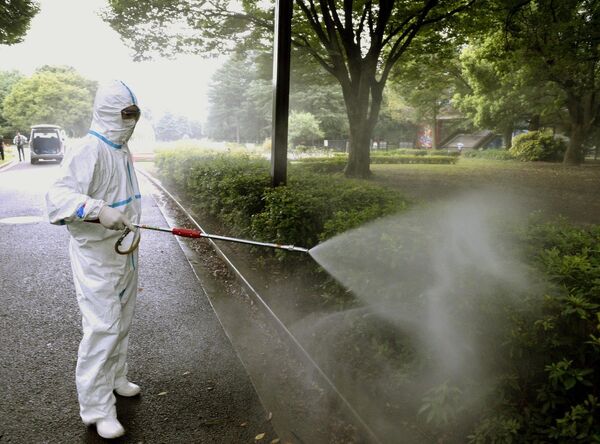 Asciende a 74 el número de enfermos de dengue en Japon - Sputnik Mundo