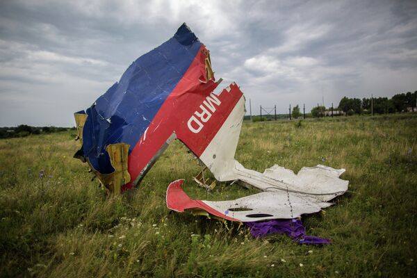 MH17: escenas del lugar de la catástrofe - Sputnik Mundo
