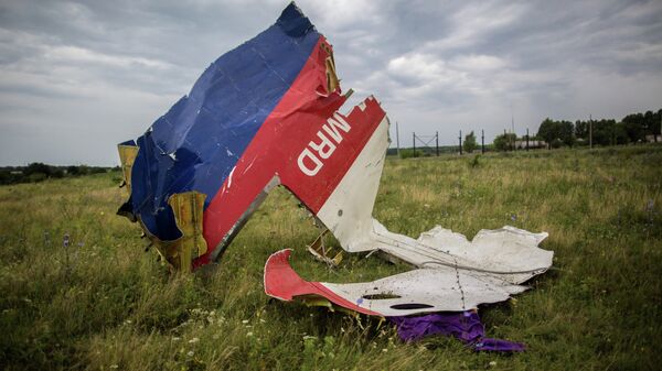 Los restos del avión malasio siniestrado en el este de Ucrania - Sputnik Mundo