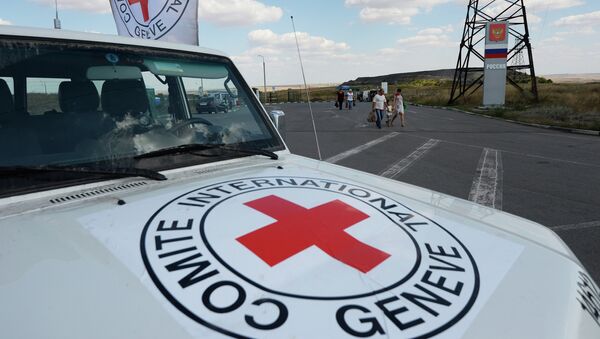 Автомобиль Красного Креста, который сопровождает колонну автомобилей КамАЗ с гуманитарной помощью для жителей юго-востока Украины, на КПП Донецк - Sputnik Mundo