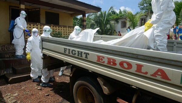 Ascienden a 4.033 los muertos por ébola, según la OMS - Sputnik Mundo