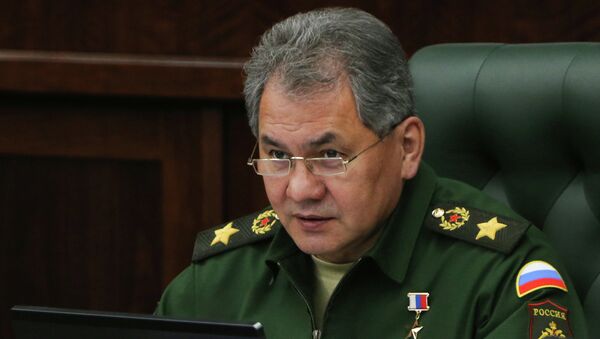 Министр обороны Сергей Шойгу. Министерство обороны Российской Федерации - Sputnik Mundo