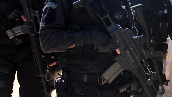 Aumentan a 53 los fusiles de asalto recuperados por la policía en Río de Janeiro en 2015 - Sputnik Mundo