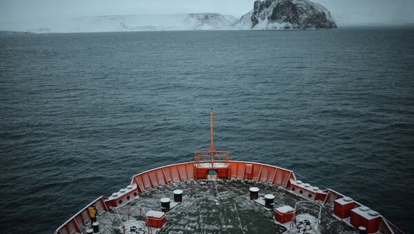 Rompehielos ruso realizará número récord de cruceros turísticos al Polo Norte en 2015 - Sputnik Mundo