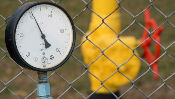 Un miembro del Senado ruso duda que Ucrania pague por el gas ruso - Sputnik Mundo