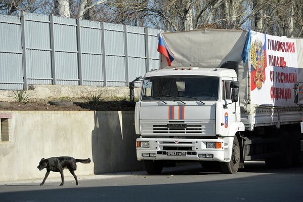 Descarga de la ayuda humanitaria rusa en Donetsk - Sputnik Mundo