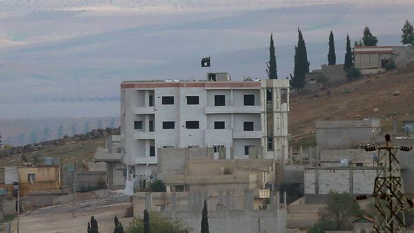 Situación en la ciudad de Kobani, Siria - Sputnik Mundo