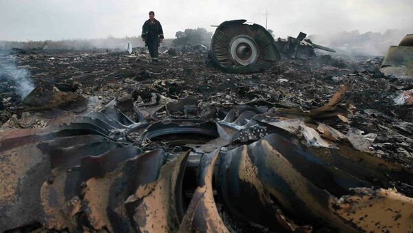 Lugar del siniestro del Boeing MH17 (archivo) - Sputnik Mundo