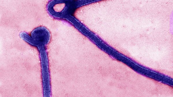 El virus del Ébola - Sputnik Mundo