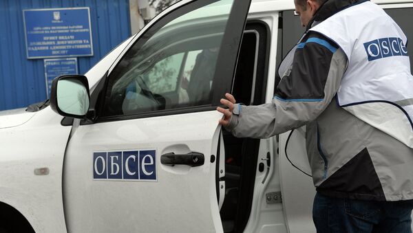 El embajador ruso destaca ante la OSCE el esfuerzo de Moscú por la distensión en Ucrania - Sputnik Mundo