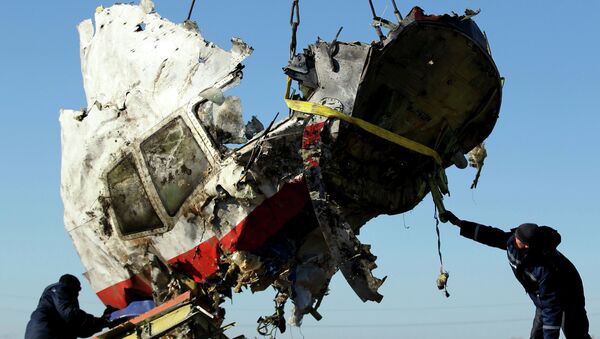 Restos del avión malasio derribado en el este de Ucrania (archivo) - Sputnik Mundo