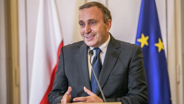 Grzegorz Schetyna, ministro de Asuntos Exteriores de Polonia - Sputnik Mundo