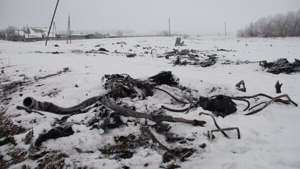 Los restos del Boeing malasio derribado en el este de Ucrania - Sputnik Mundo