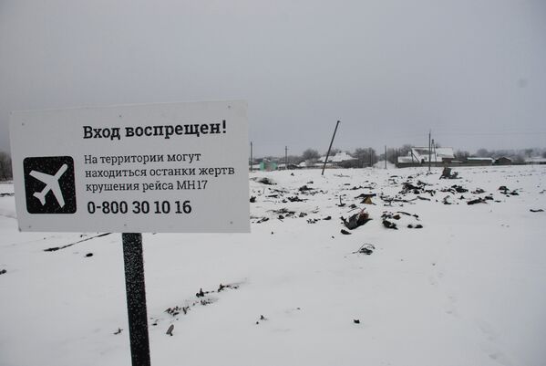 Lugar de la caída y restos del Boeing malasio en Donbás - Sputnik Mundo